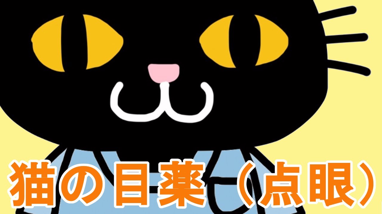 ゲンタマイシン 猫